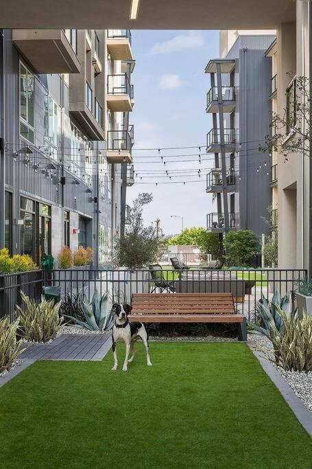 Modern And Lavish Apartment Glendale Exterior photo